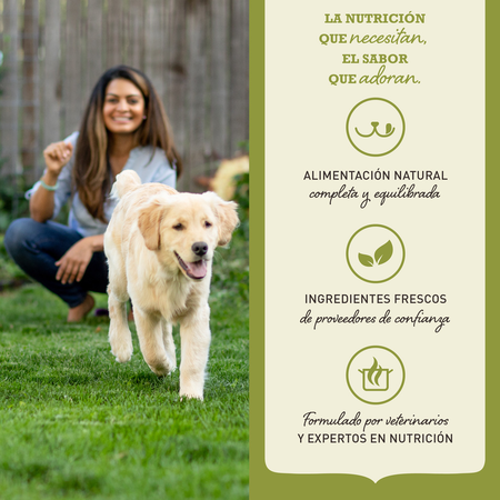 null - Product image 4.0